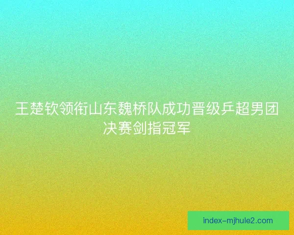王楚钦领衔山东魏桥队成功晋级乒超男团决赛剑指冠军